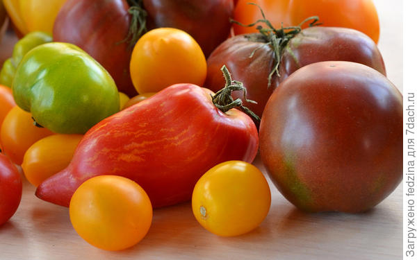 Искры пламени и др.