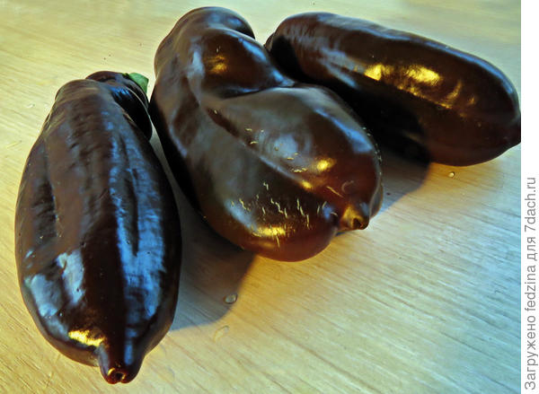 Перец Сладкий шоколад...