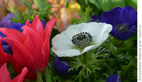 С первым днем весны!