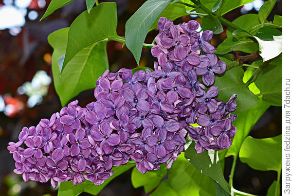 Прекрасной весны!