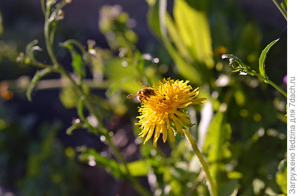 А мы всё сидим, кушаем...