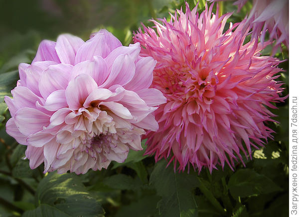 И таких нежных отношений