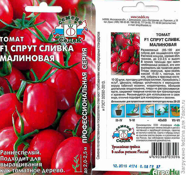 Пакет
