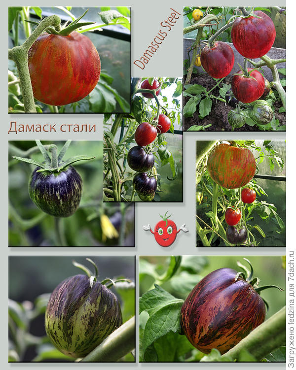 Коллаж