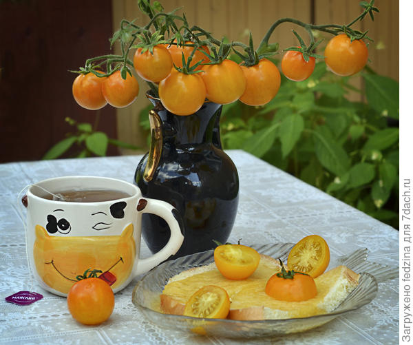 Мой завтрак с Кудябликами