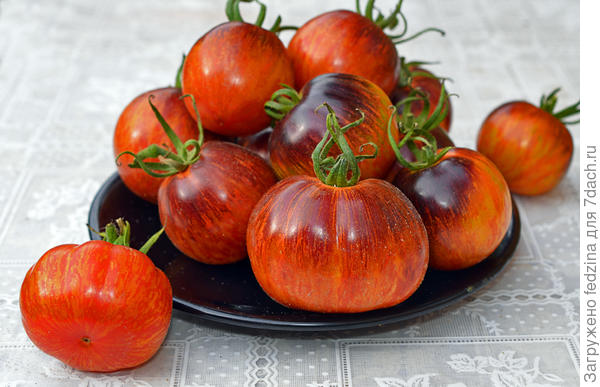 Озарк Закат