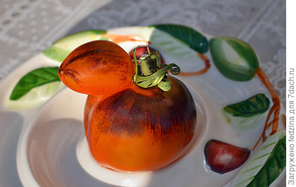 Усатый-полосатый