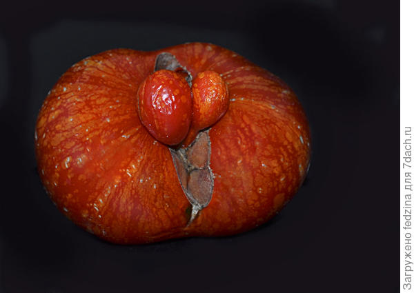 Феерверг 2018г