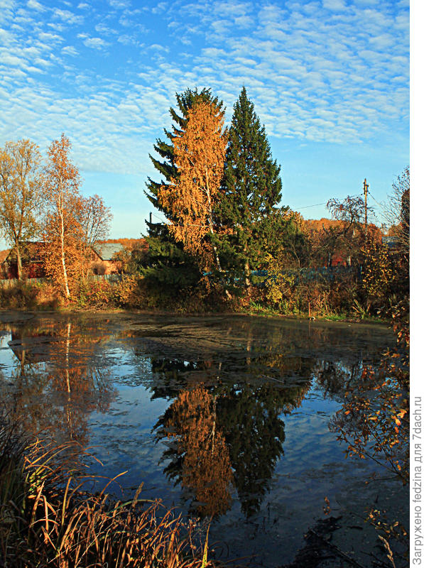 моя осень...