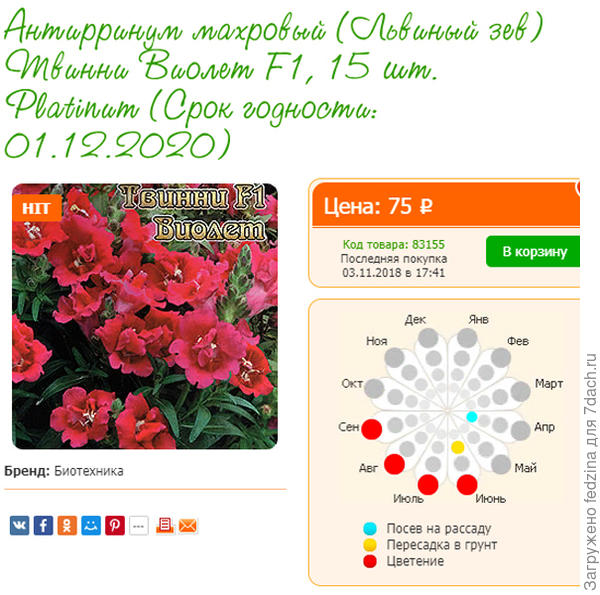 на сайте Seedspot.ru