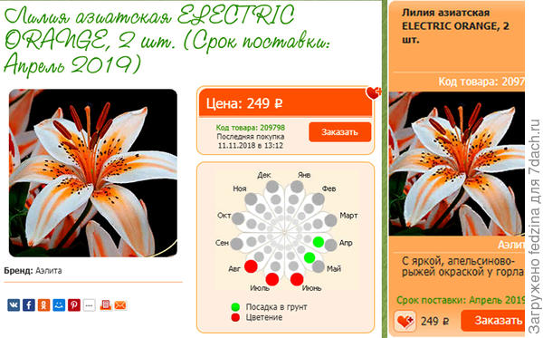 С сайта Seedspost