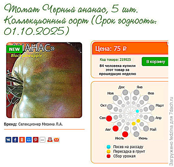 На сайте Seedspost
