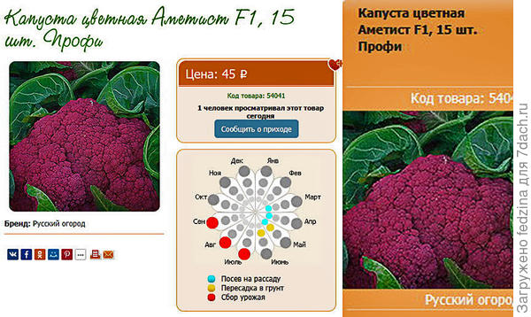 На сайте seedspost.ru