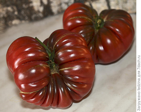 Фиолетовая тыква