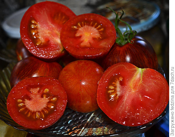 Заход солнца - очень спелый