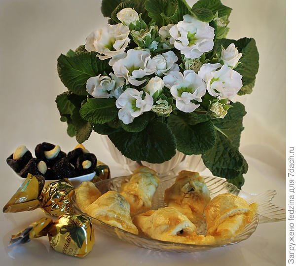 Белые примулы