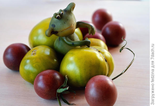 Лягушки-царевны в шоколаде