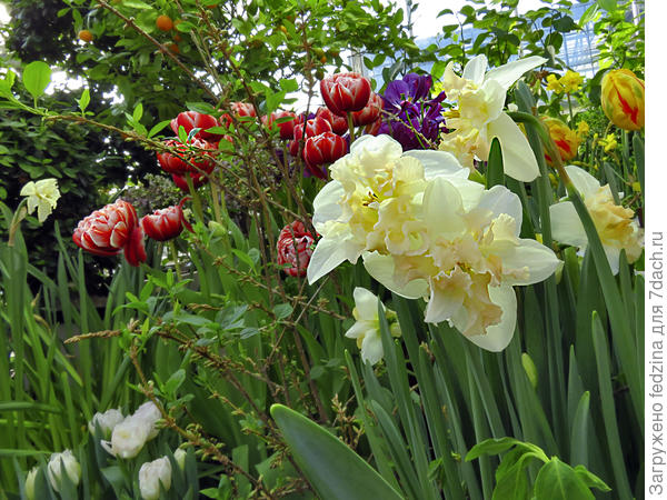 С первым днём весны!!!