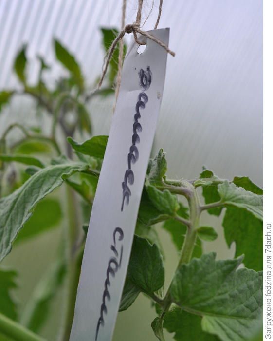 Бирка с названием