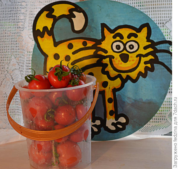 Томат Краснощёкий князь (горшочный)