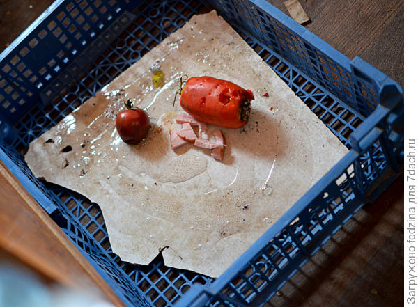 Клей для мышки