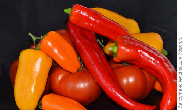 Мои перчики: Какаду красный, Апельсин, Банановый десерт