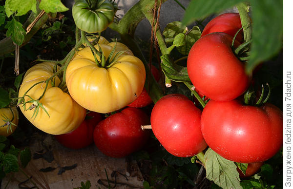 Третьяковский