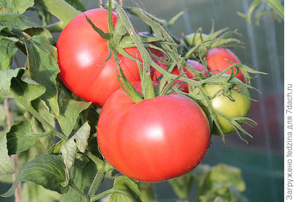 Третьяковский 30 августа