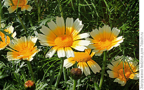 Что бы в ней съесть?