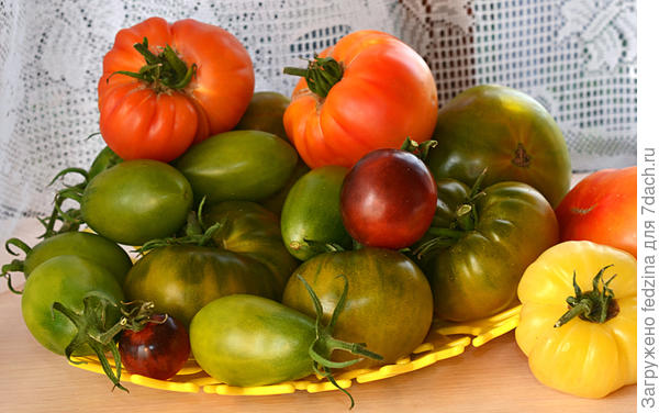 Сладкие помидорки