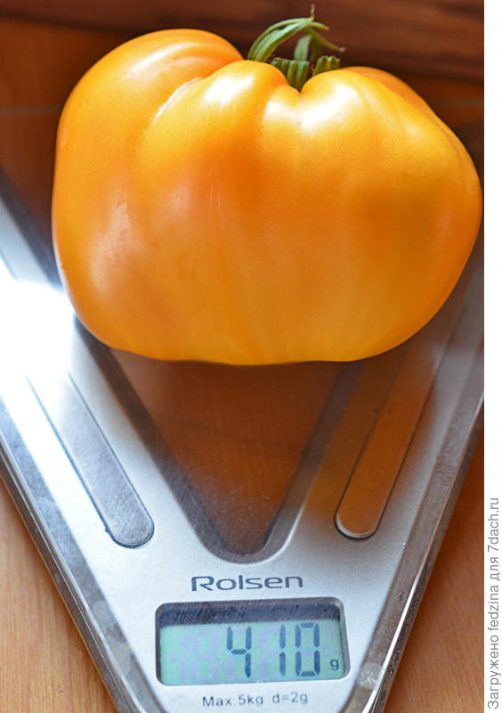 Золотое сердце америки в июле