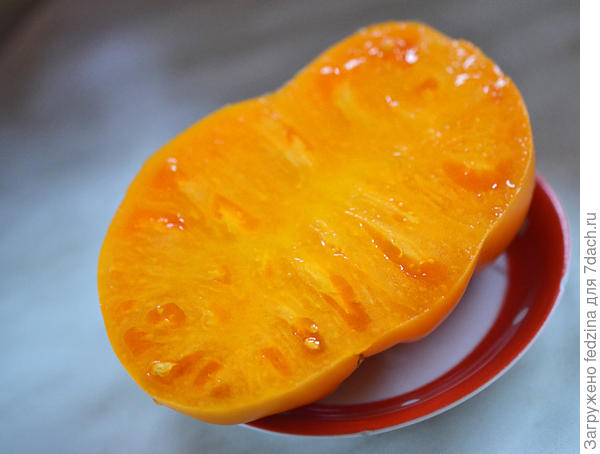 Золотое сердце америки в июле