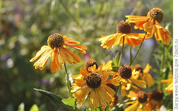 вдохновения и удачи!