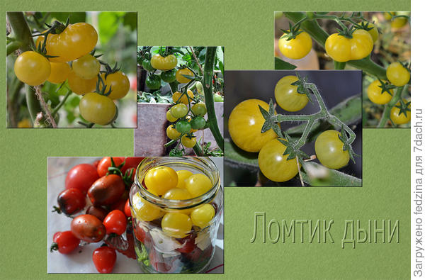 Ломтик дыни