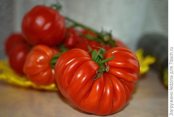 Тлаколула де матаморос