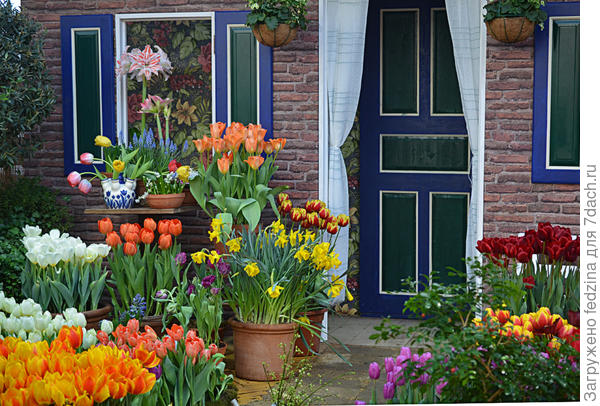 Домик для фото