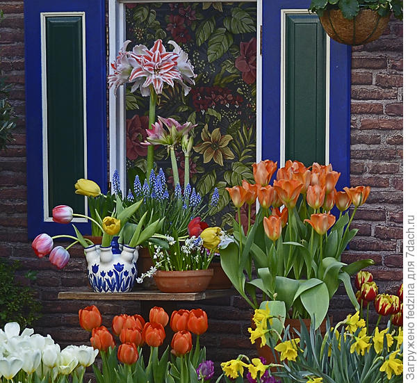 Перед домиком в Аптекарском...