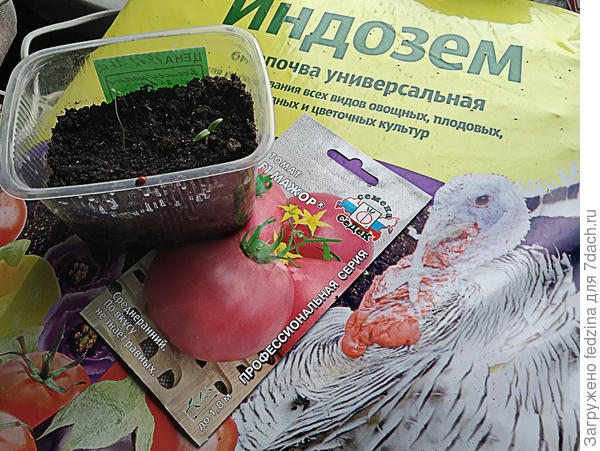 Земля «Индозём»