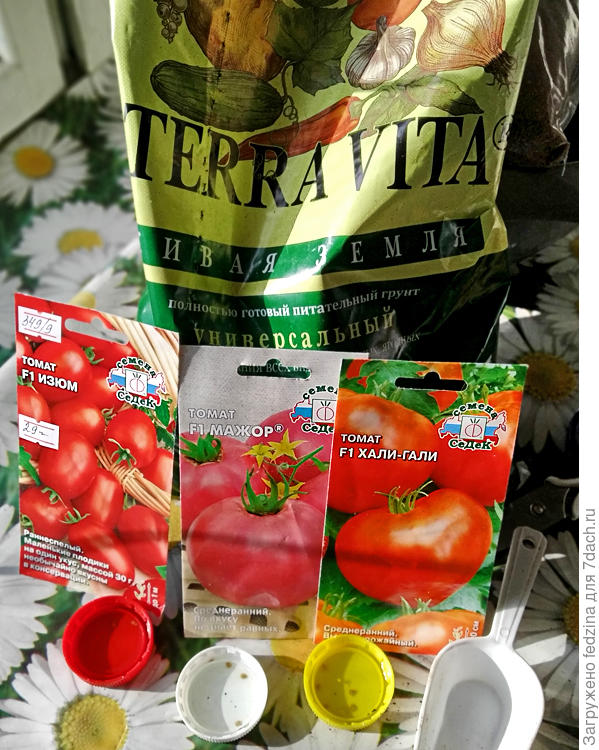 Живая земля
