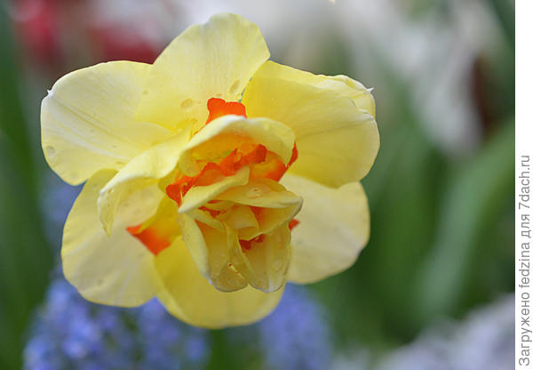 Светочка, поздравляю!