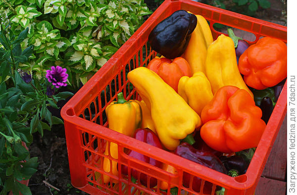 Урожай 201 года