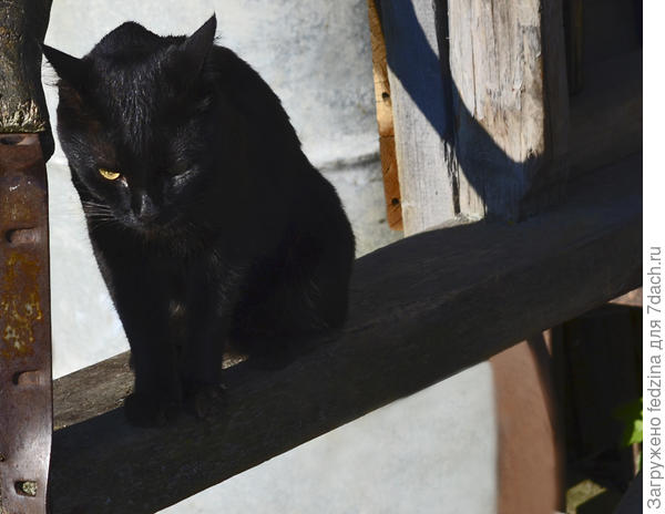 Дуся не в настроении