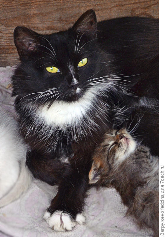 Маруська с сыночком