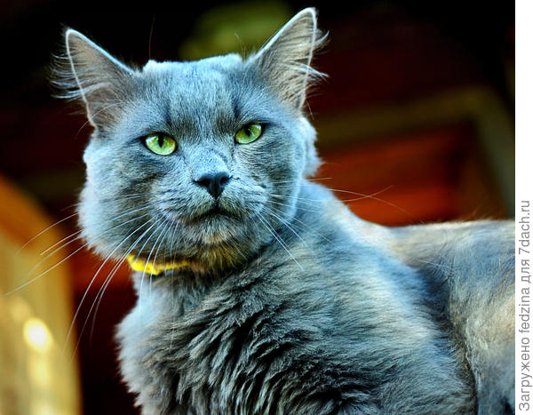 Мимо и мышь не проскочит...