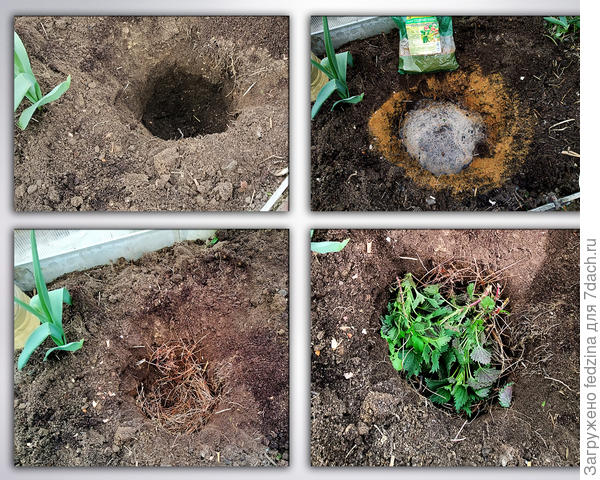 Тёплые ямки