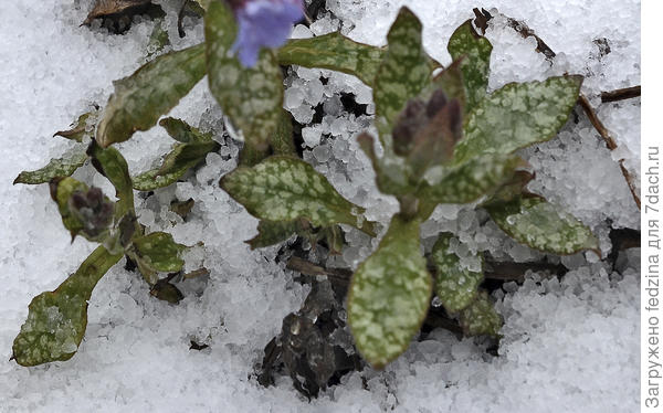 Град 19 апреля