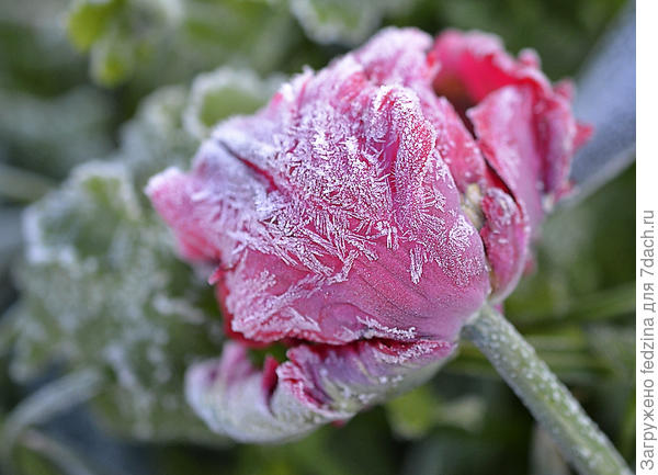 Холодный май 2020 года