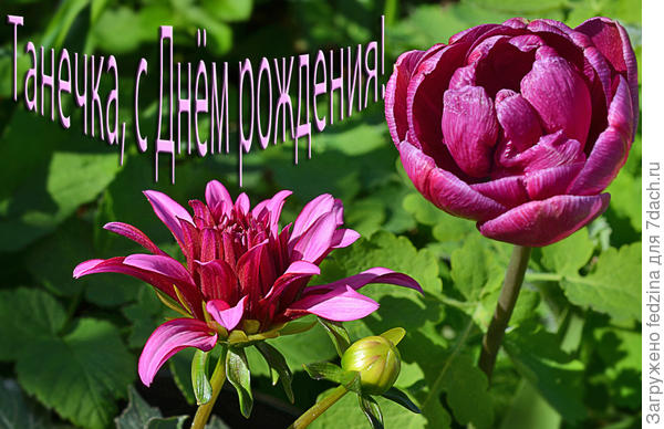 Рядом осень и весна 20 г