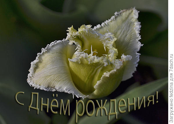 И много цветов!