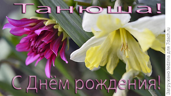 С днём рождения!